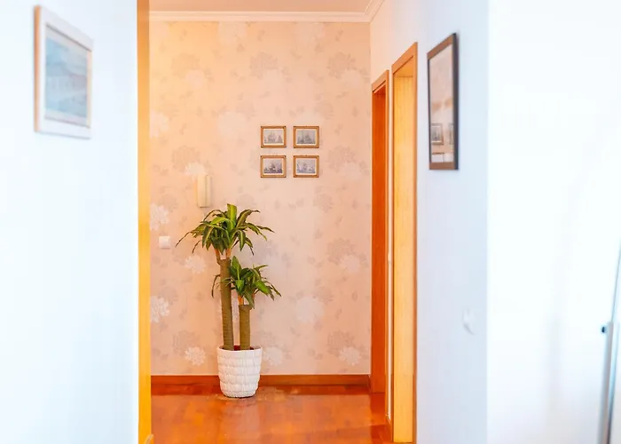 公寓 Horizon By Amazing Madeira 卡尼索