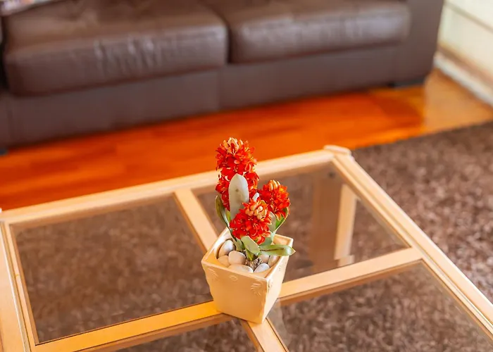 公寓 Horizon By Amazing Madeira 卡尼索